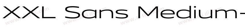 XXL Sans Medium字体转换
